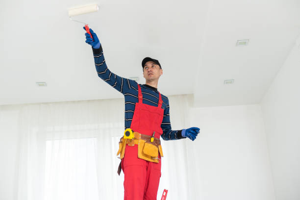 Best Dehumidification Services  in St Marys, GA