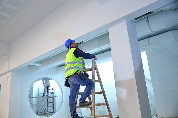 Reliable St Marys, GA Mold Removal Solutions